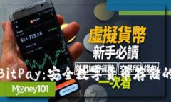 冷钱包与BitPay：安全数字货币存储的最佳选择