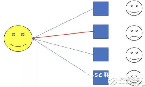 如何在iOS设备上下载和设置BSC钱包：详细指南