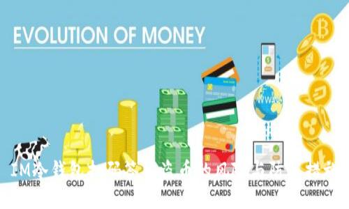 IM冷钱包扫码签名盗币的风险与防范措施