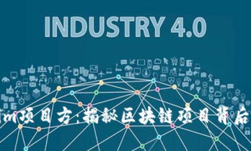 Tokenim项目方：揭秘区块链项目背后的力量