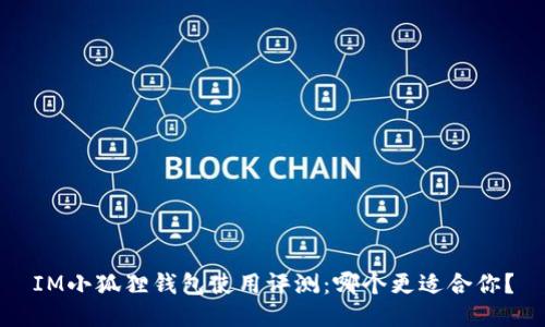 IM小狐狸钱包使用评测：哪个更适合你？