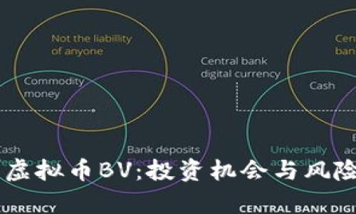 了解虚拟币BV：投资机会与风险分析