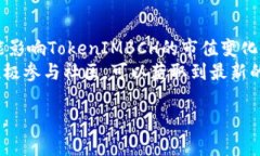 看起来您提到的“tokenimbch”和“两个地址” 没有