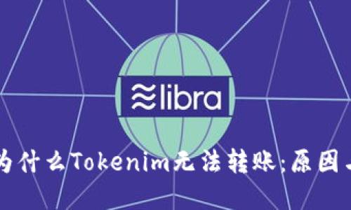 深入探讨为什么Tokenim无法转账：原因与解决方法