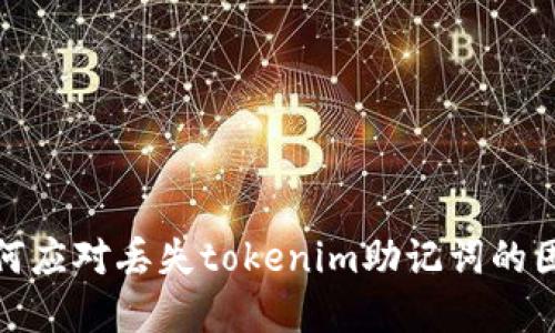 如何应对丢失tokenim助记词的困境