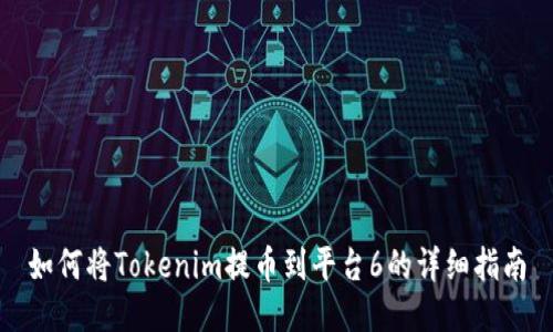 如何将Tokenim提币到平台6的详细指南