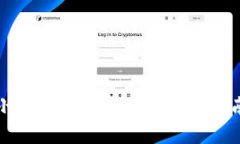 小个子专属：冷钱包选购指南