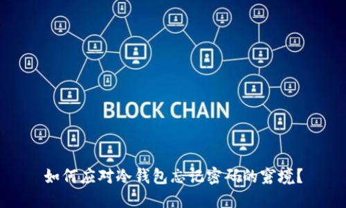 如何应对冷钱包忘记密码的窘境？