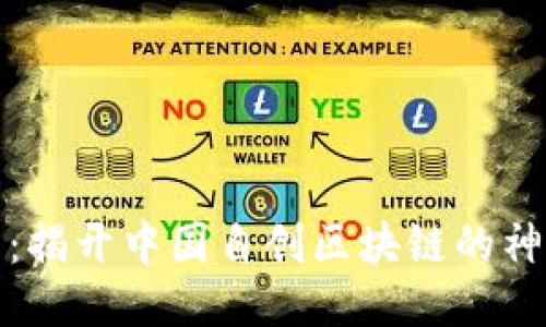 波场币：揭开中国自创区块链的神秘面纱