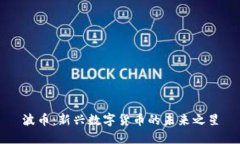 波币：新兴数字货币的未来之星