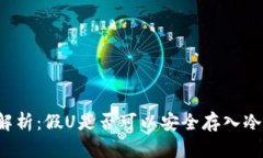 深度解析：假U是否可以安全存入冷钱包？