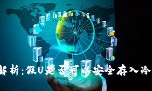 深度解析：假U是否可以安全存入冷钱包？