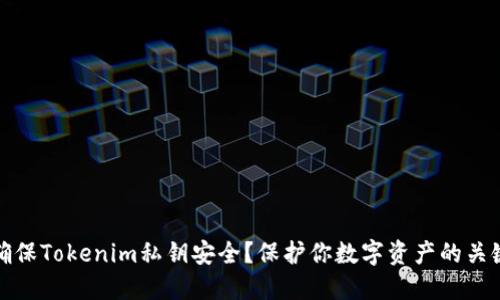 如何确保Tokenim私钥安全?保护你数字资产的关键策略