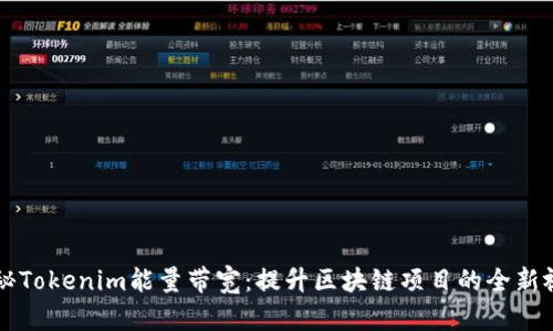 揭秘Tokenim能量带宽：提升区块链项目的全新视角