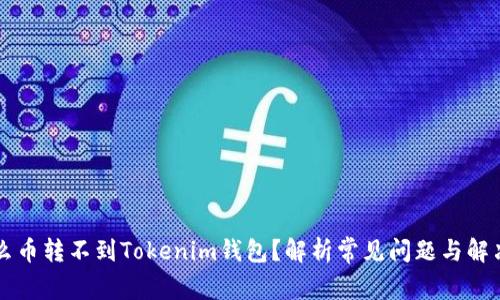 为什么币转不到Tokenim钱包？解析常见问题与解决方案