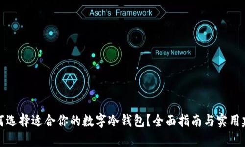 如何选择适合你的数字冷钱包？全面指南与实用建议