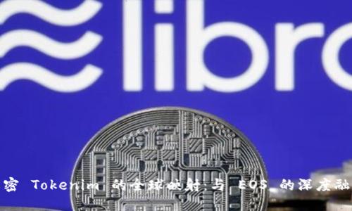 解密 Tokenim 的全球映射：与 EOS 的深度融合