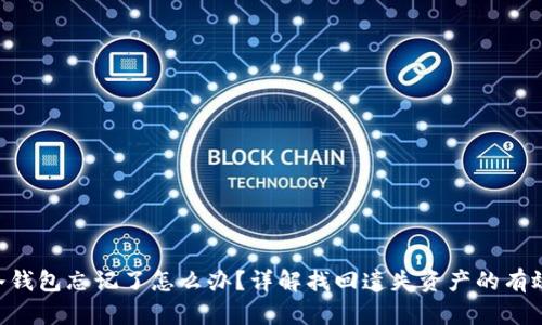 ETH冷钱包忘记了怎么办？详解找回遗失资产的有效策略