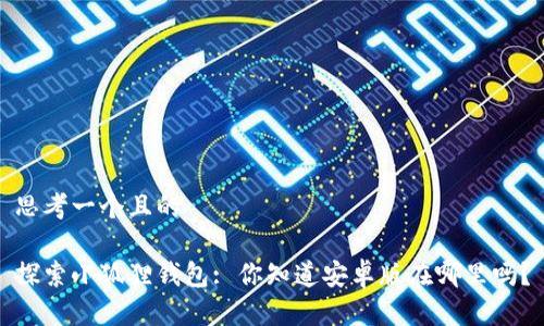 思考一个且的

探索小狐狸钱包: 你知道安卓版在哪里吗？