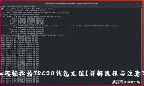: 如何轻松为TRC20钱包充值？详解流程与注意事项