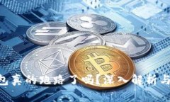 Gopay钱包真的跑路了吗？深入解析与真相揭秘