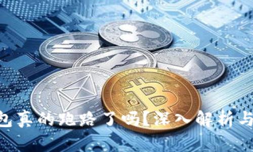 Gopay钱包真的跑路了吗？深入解析与真相揭秘