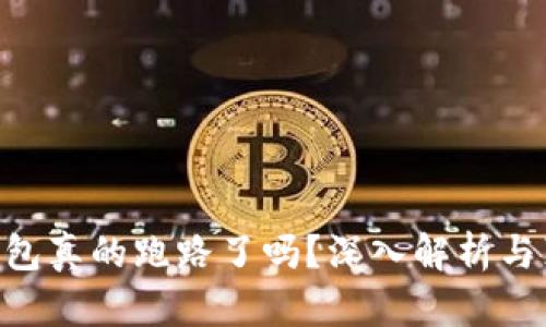 Gopay钱包真的跑路了吗？深入解析与真相揭秘