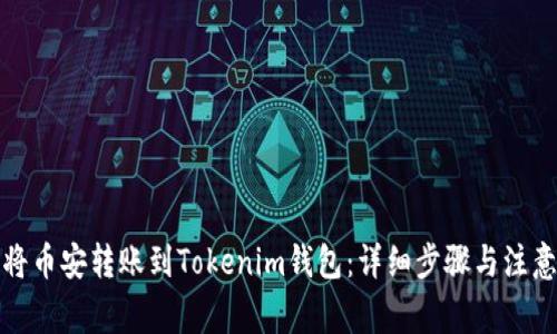 如何将币安转账到Tokenim钱包：详细步骤与注意事项