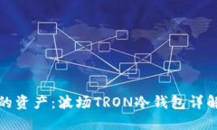 安全管理你的资产：波场TRON冷钱包详解与使用指