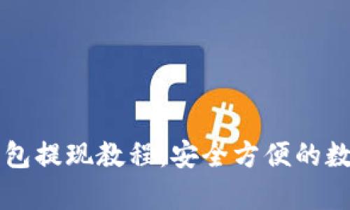 简单易懂的冷钱包提现教程：安全方便的数字货币资产管理