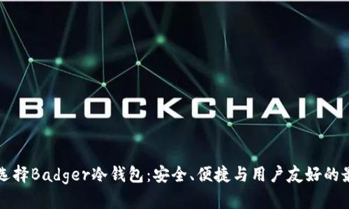 为什么选择Badger冷钱包：安全、便捷与用户友好的最佳选择