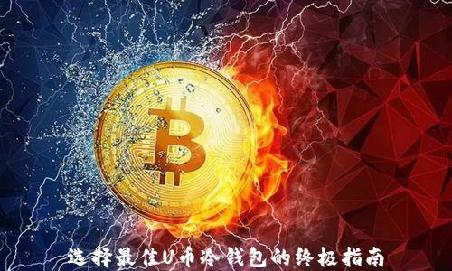
选择最佳U币冷钱包的终极指南