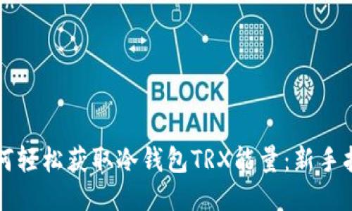 如何轻松获取冷钱包TRX能量：新手指南