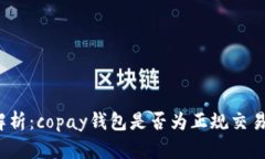 全面解析：copay钱包是否为正规交易平台？