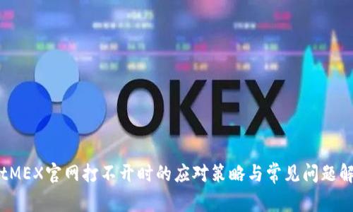 BitMEX官网打不开时的应对策略与常见问题解析