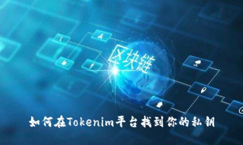 如何在Tokenim平台找到你的私钥
