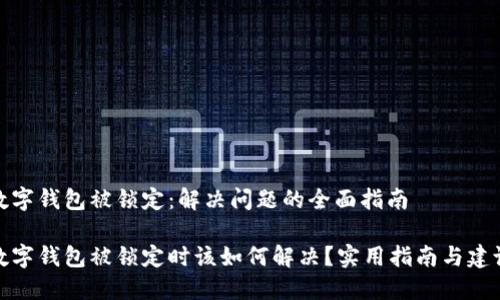 数字钱包被锁定：解决问题的全面指南

数字钱包被锁定时该如何解决？实用指南与建议