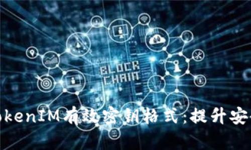 深入解析TokenIM有效密钥格式：提升安全性的关键