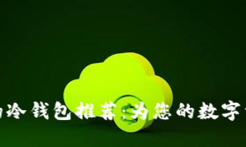 全球最安全的冷钱包推荐：为您的数字资产保驾护航