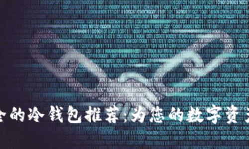 全球最安全的冷钱包推荐：为您的数字资产保驾护航