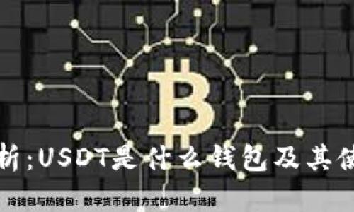 全面解析：USDT是什么钱包及其使用指南