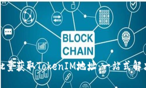 如何批量获取TokenIM地址：一站式解决方案