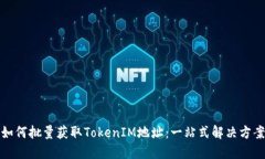 如何批量获取TokenIM地址：一站式解决方案
