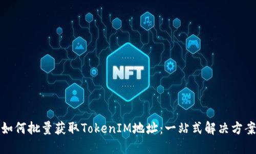 如何批量获取TokenIM地址：一站式解决方案