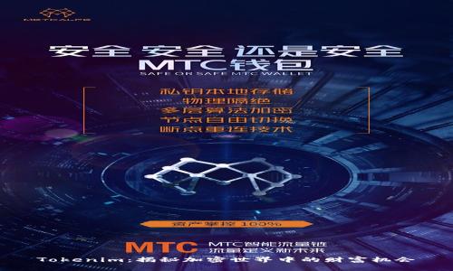 Tokenim：揭秘加密世界中的财富机会