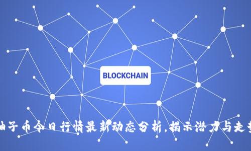 柚子币今日行情最新动态分析，揭示潜力与走势