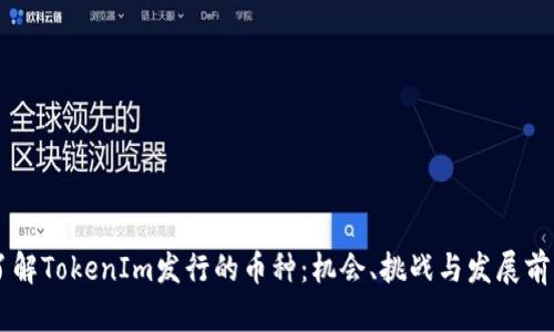 了解TokenIm发行的币种：机会、挑战与发展前景
