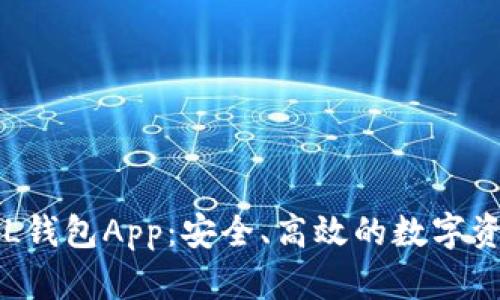 全面解析SOL钱包App：安全、高效的数字资产管理工具