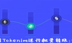 如何使用Tokenim进行批量转账：详细指南