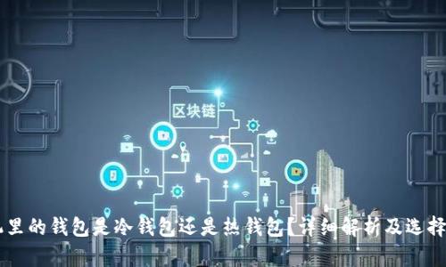 手机里的钱包是冷钱包还是热钱包？详细解析及选择指南